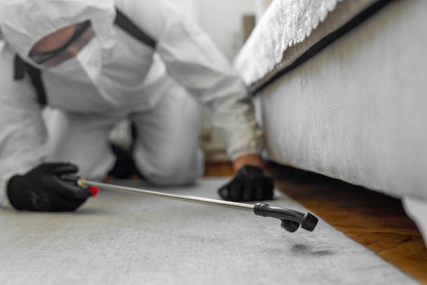 Professional Cockroach Control technician working in Kempner, TX