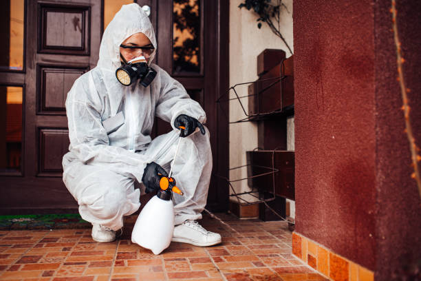 Reliable Cockroach Control contractor in Kempner, TX by Nex Pest Control